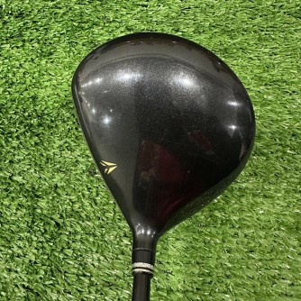 Wood 3 XXIO Prome SP1000